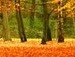 Оксана Сорока фотография #8 (источник - https://vk.com/id92602918)