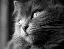 Фотография Федуковой Юлии