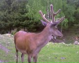 Вася Яковішак фотография #32 (источник - https://vk.com/id73251127)