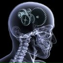 Фотография Головко Николая