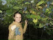 Фотография Терентьевой Дарьи