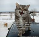 Іра Диміцька фотография #4 (источник - https://vk.com/id167813831)