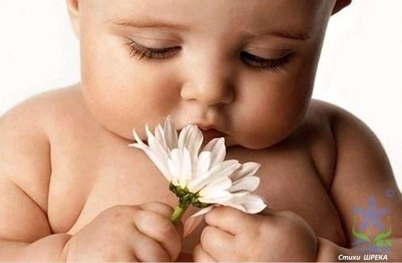 Борис Вилков фотография #27