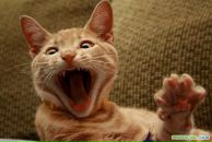 Саня Пилипів фотография #3 (источник - https://vk.com/id60145899)