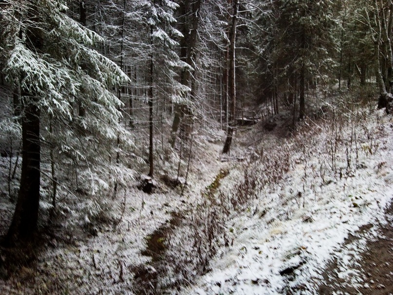 Игорь Владимирович фотография #25