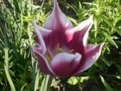 Фотография Филипповой Жанны