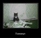 Іра Коротченко фотография #20 (источник - https://vk.com/id52973283)