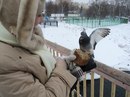 Фотография Гольцовой Татьяны