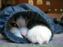 Фотография Одинцовой Марины