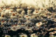 Фотография Гребнёвой Александры