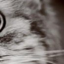 Христина Якімець-Максимяк фотография #22 (источник - https://vk.com/id21782638)