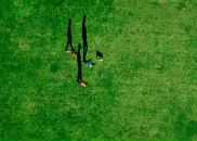 Фотография Лантуха Ромы