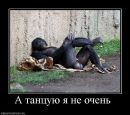 Віктор Савчук фотография #48 (источник - https://vk.com/id9771919)
