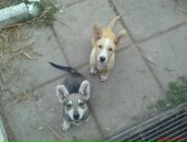 Фотография Кириченко Михаила