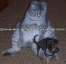 Дмитрий Недбайло фотография #27 (источник - https://vk.com/id1300758)