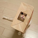 Юлія Халахур фотография #3 (источник - https://vk.com/id132652809)