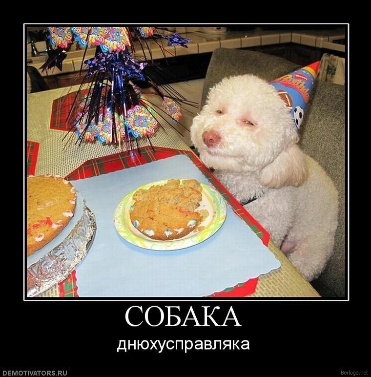 Даша Миллер фотография #11