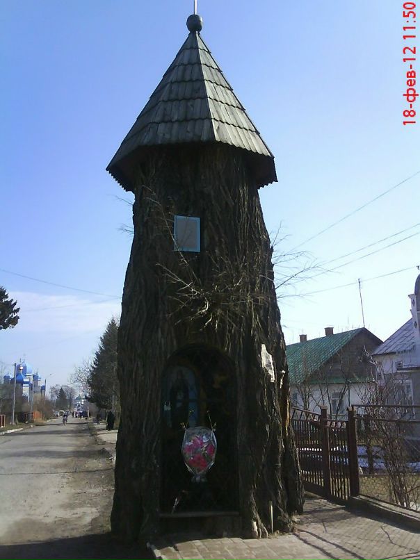 Елена Ильченко фотография #36