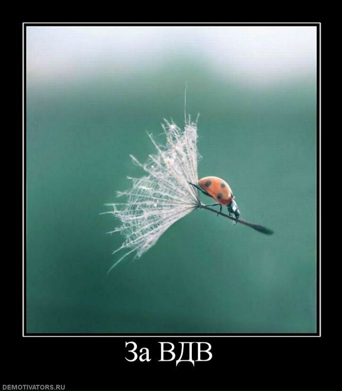 Дмитрий Ефимов фотография #15