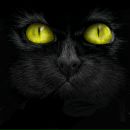 Оксана Бодяко фотография #44 (источник - https://vk.com/id46364940)