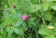 Андрій Світлицький фотография #11 (источник - https://vk.com/id2321783)