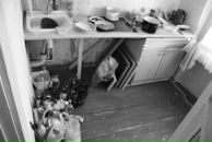 Не До фотография #24 (источник - https://vk.com/id956580)