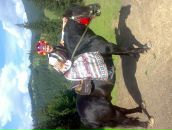 Ігор Павлов фотография #9 (источник - https://vk.com/id126389093)