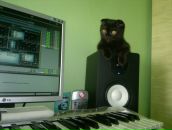 Фотография Шатрова Евгения