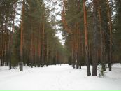 Фотография Вован Мошковский