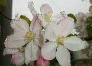 Сергій Гурінчук фотография #6 (источник - https://vk.com/id12433093)