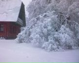 Фотография Курчиной Анастасии