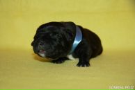 Фотография Денисенко Натальи