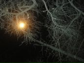 Віта Глухонець фотография #37 (источник - https://vk.com/id138305730)