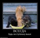 Иван Друковский фотография #15 (источник - https://vk.com/id545338)