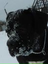 Фотография Мур Оксаны