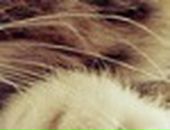 Яна Excale фотография #9 (источник - https://vk.com/id727315)