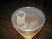 Фотография Яблоковой Веры