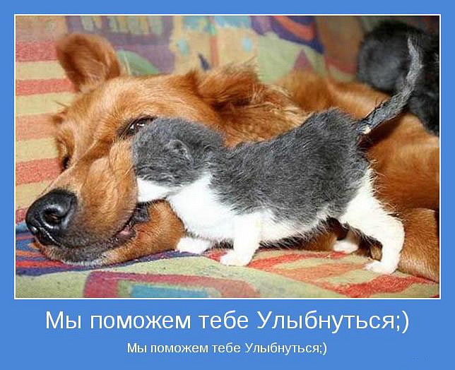 Даша Мищенко фотография #49