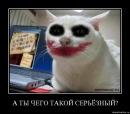 Фотография Камалитдинова Марата
