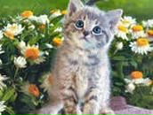 Настюша Леонтій фотография #21 (источник - https://vk.com/id103483795)