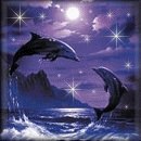 Алла Поліщук фотография #21 (источник - https://vk.com/id134226207)