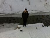 Фотография Писарева Андрея