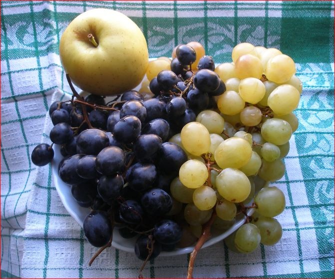 Тоха Тоха фотография #14