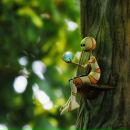 Фотография Yashina Alexandra