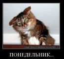 Фотография Котовой Саши