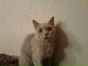 Фотография Зеленковой Агаты