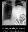 Ёрик Мандаринка фотография #7 (источник - https://vk.com/id161525067)