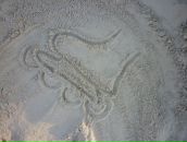 Фотография Джанбаева Александра