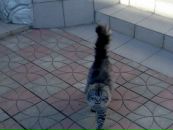 Сергій Паранюк фотография #31 (источник - https://vk.com/id111381537)