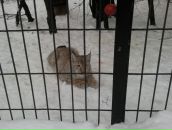 Фотография Аркадьевны Анастасии